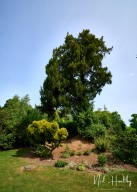 m20255310047.jpg